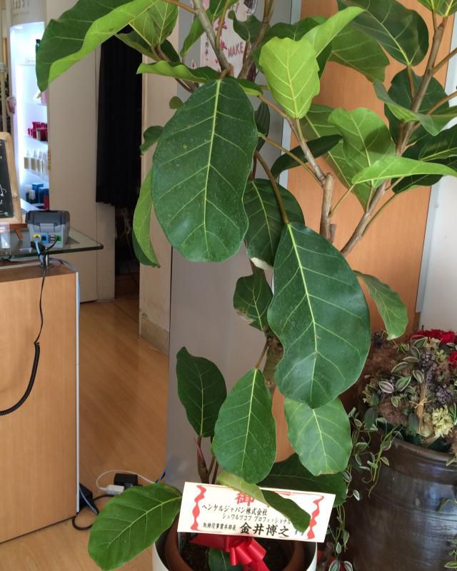 新年度