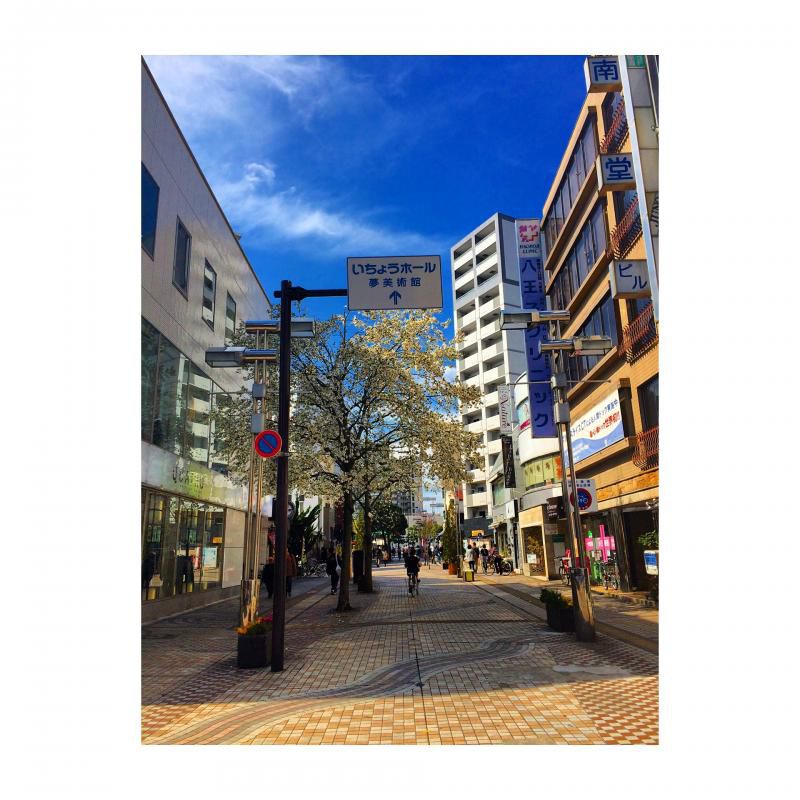 ホームページが新しくなりました!!!!