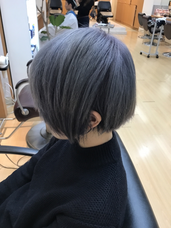 シルバーアッシュ！！