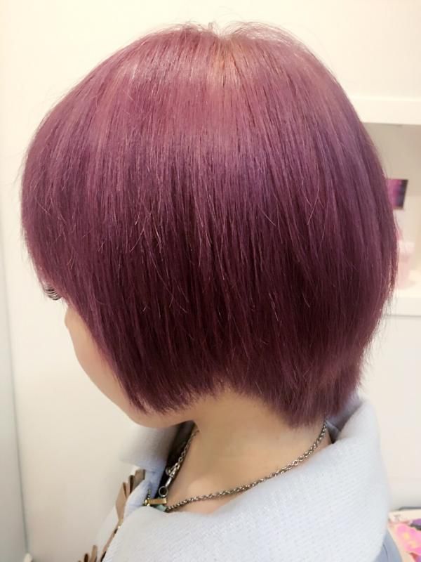 パープルカラー