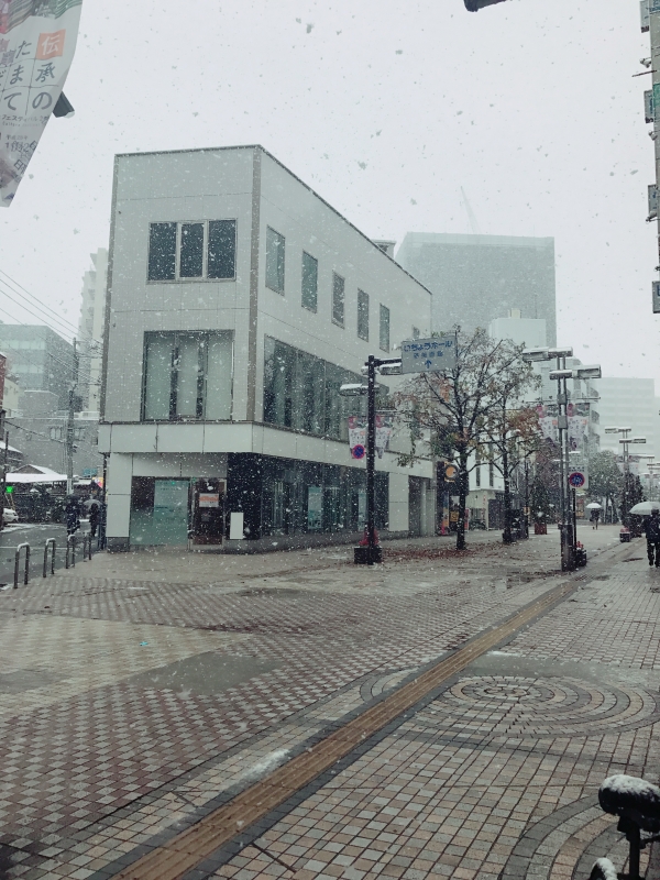 11月で雪は54年ぶり！！！！